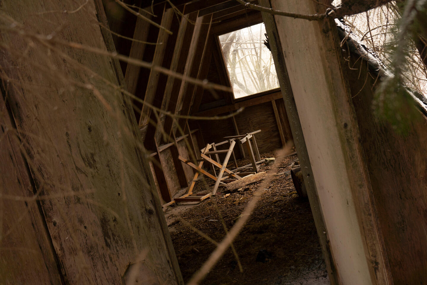 Into the Shed (April 2023)